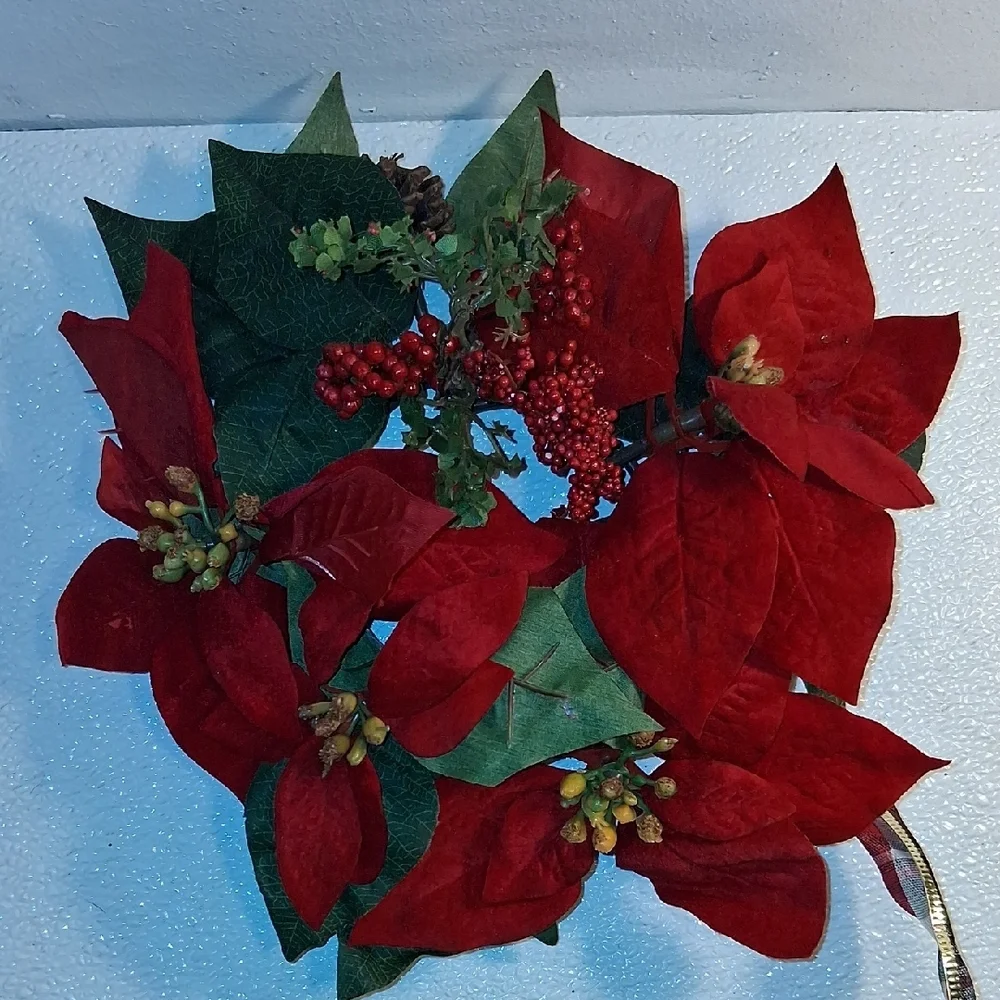 Festive Red Poinsettia Holiday Foliage 2